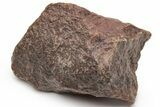 Chondrite Meteorite ( g) - Western Sahara Desert #226938-1